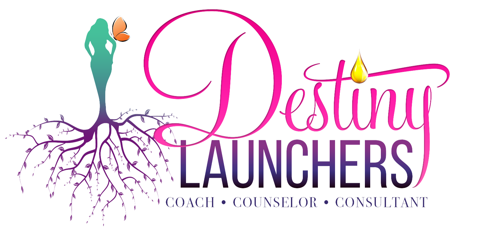 destinylaunchers.com